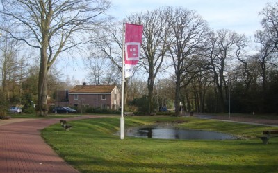 accare vlag